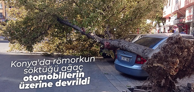 Konya’da römorkun söktüğü ağaç otomobillerin üzerine devrildi