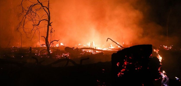 Bolivya’daki yangın 2 milyon hektar alanı kül etti