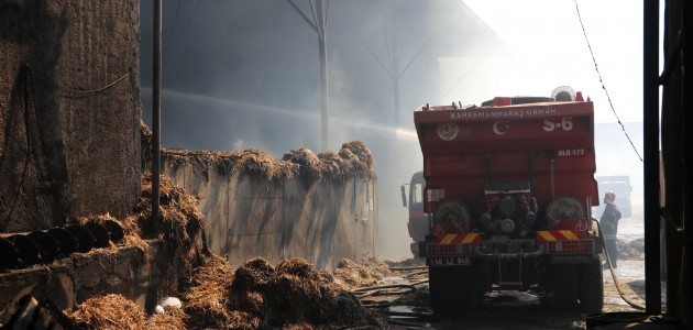 Gaziantep’te 10 bin büyükbaş hayvanın bulunduğu çiftlikteki yangın