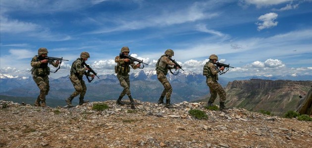 Siirt kırsalında terör örgütü PKK’ya ağır darbe