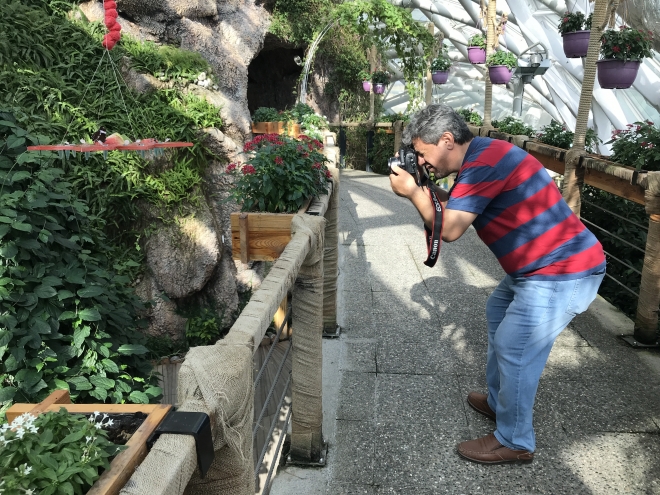 Fotoğraf stüdyosu gibi kelebek bahçesi