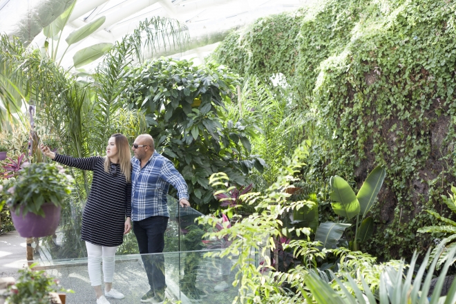 Fotoğraf stüdyosu gibi kelebek bahçesi