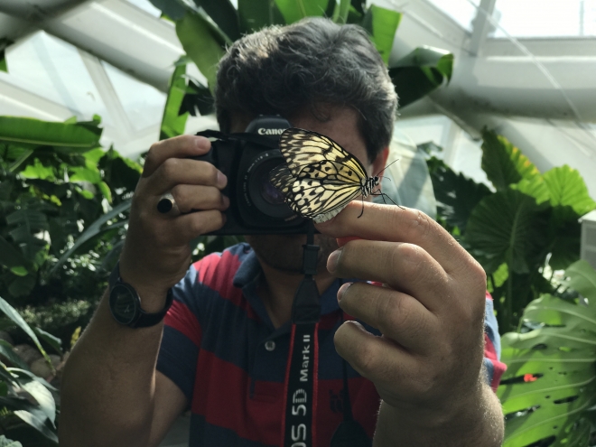 Fotoğraf stüdyosu gibi kelebek bahçesi