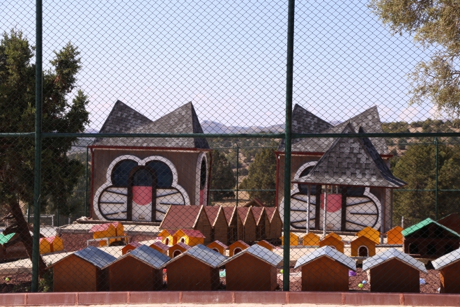 Konya’da sokak hayvanlarına 