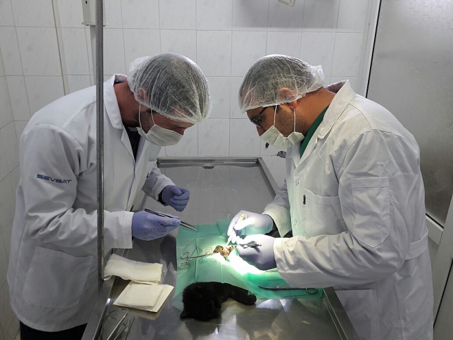 Konya’da sokak hayvanlarına 