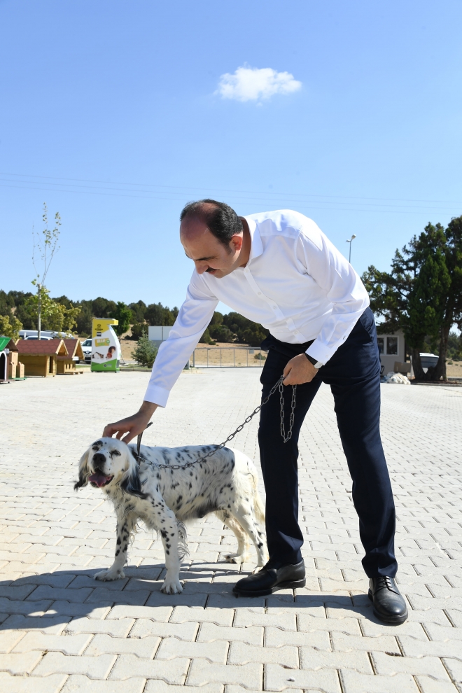Konya’da sokak hayvanlarına 