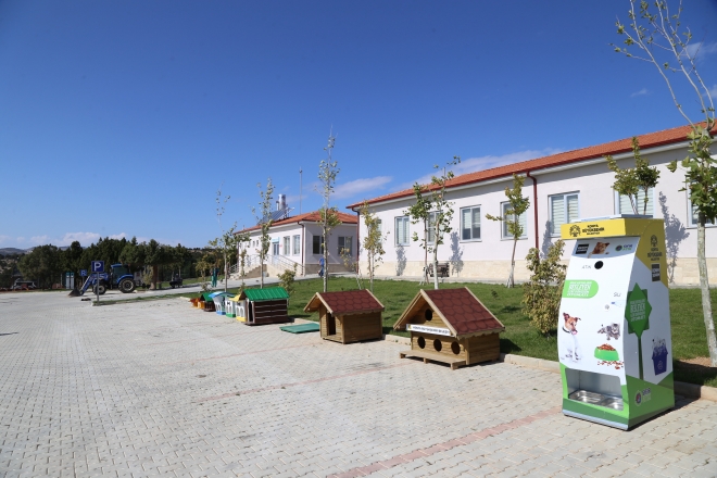 Konya’da sokak hayvanlarına 