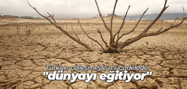 Türkiye, çölleşmeyle mücadelede “dünyayı eğitiyor“
