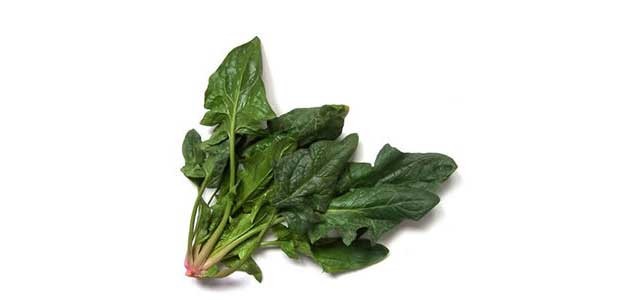 Ispanağın içindeki yabancı otlara dikkat