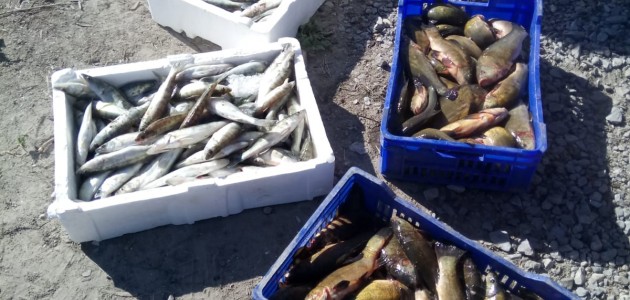 Gölde boy limiti altında balık avına ceza