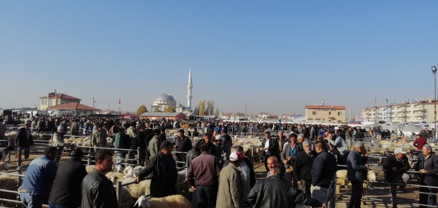 Konya’da hayvan pazarındaki veba karantinası sona erdi