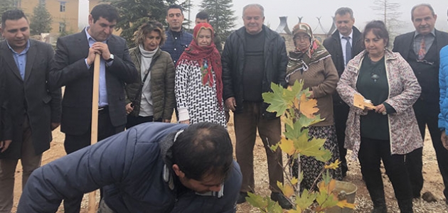 Konya’da sanatçıların köyünde, Yıldız Kenter için çınar fidanı dikildi