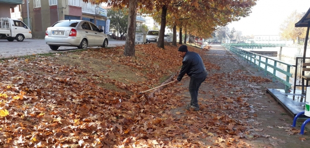Beyşehir’de yaprak toplama seferberliği