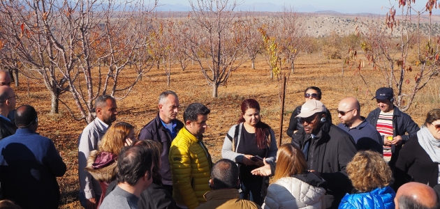 Uluslararası Tarımsal Kalkınma Fonu yetkilileri Bozkır’ı ziyaret etti