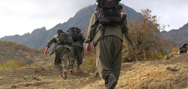 Jandarmanın iknasıyla terör örgütü PKK’da yönetici düzeydeki 3 terörist teslim oldu
