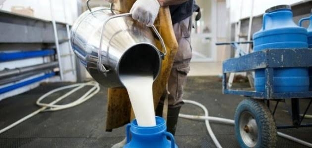 Çiğ süt ve tiftik üretimi destek ödemeleri başlıyor
