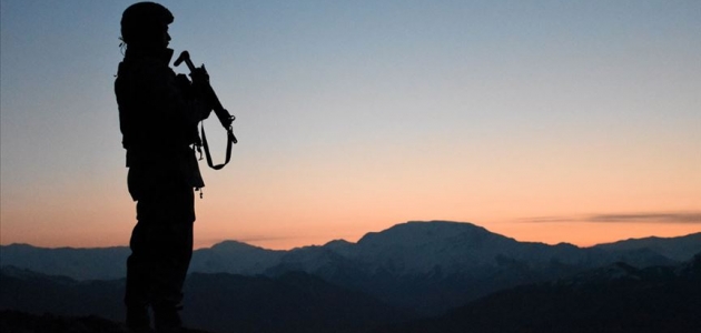 Jandarma ekiplerince ikna edilen PKK’lı terörist teslim oldu