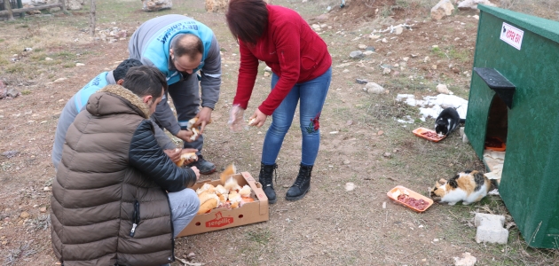 Beyşehir’de sokak hayvanları için beslenme alanlarına yiyecek bırakıldı