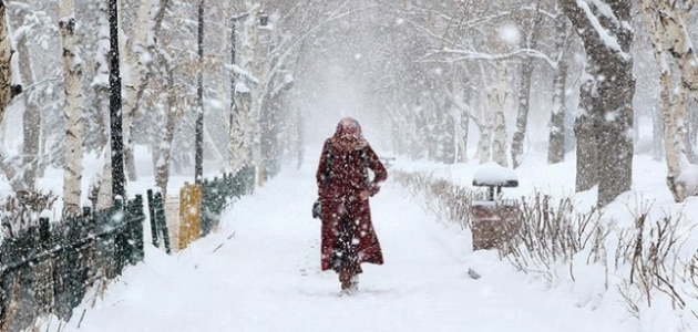 Doğu Anadolu’daki 5 ilde kar yağışı etkili olacak