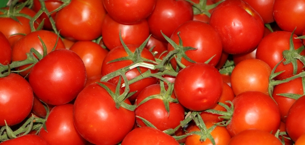 Rusya, Türkiye’den domates ithalatını artırıyor