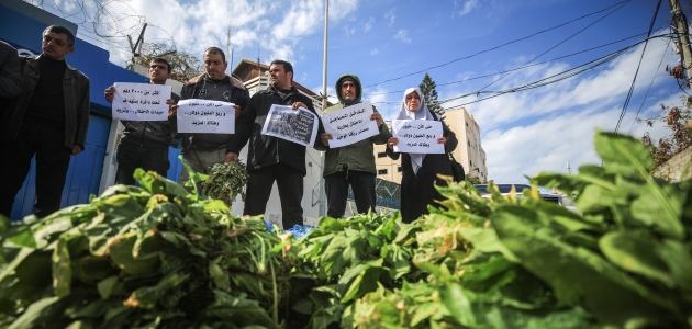 İsrail’in zehirli böcek ilaçları Gazzeli çiftçilerin mahsullerine zarar veriyor