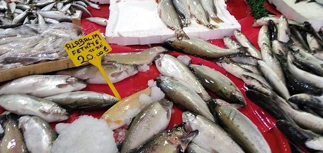 Konya’da üreme dönemindeki balıkları satan işletmelere ceza verildi