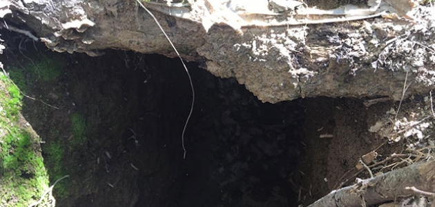 “Kapan operasyonları“nda 108 mağara/sığınak imha edildi