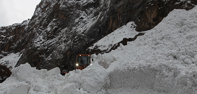 Hakkari-Çukurca kara yoluna çığ düştü