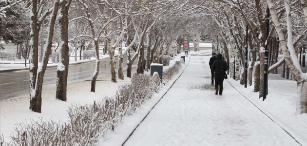 Doğu Anadolu’da kar yağışı etkili oldu