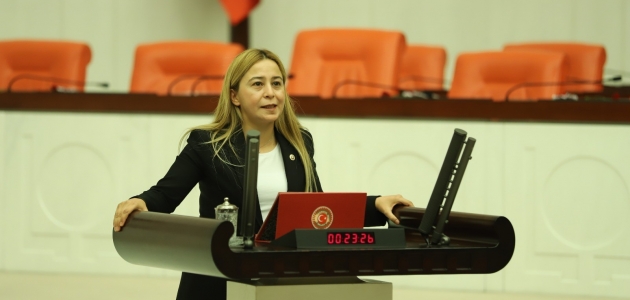 MHP’li Esin Kara: Sözleşmeli Devlet Tiyatroları personeli kadroya alınmalı