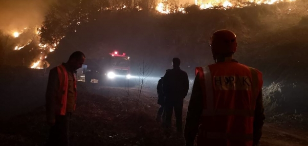 Artvin’deki orman yangınında 10 dönümlük alan zarar gördü