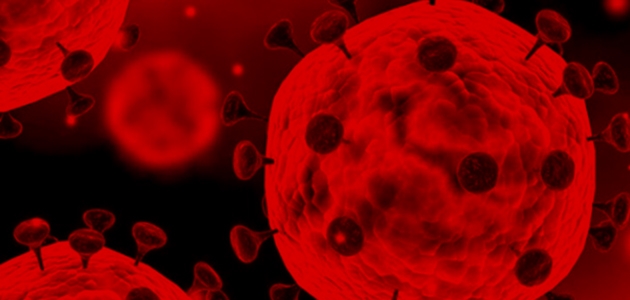 21. yüzyılda virüsler, halk sağlığı için küresel tehdit haline geldi