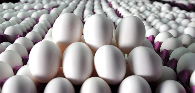 Yumurta üreticilerinden “stoka gerek yok“ mesajı
