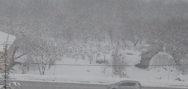 Konya’nın Halkapınar ve Ereğli ilçelerinde kar yağışı