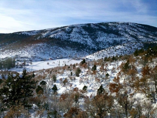 Bartlı Yaylası yaylasında çiğdemler