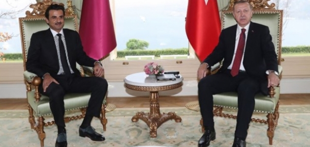 Cumhurbaşkanı Erdoğan Katar Emiri Sani ile görüştü