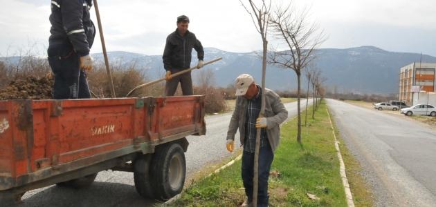 Akşehir Belediyesi’nden ağaçlandırma ve budama çalışmaları