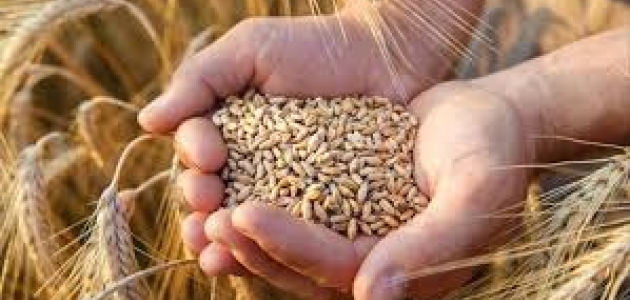 Tarım Sigortaları Havuzundan üreticilere “buğday sigortası“ çağrısı