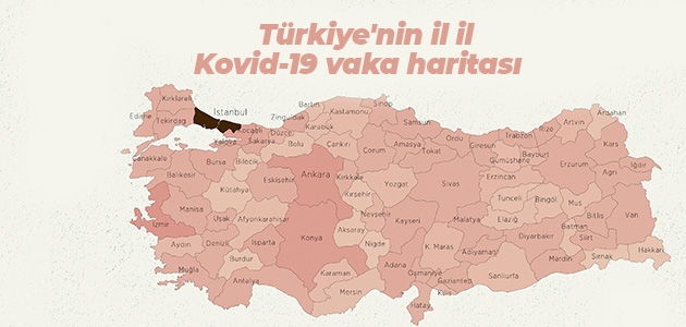Türkiye’nin il il Kovid-19 vaka haritası