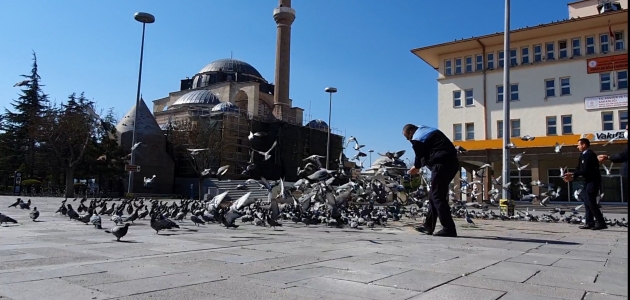 Konya’da meydanın simgesi güvercinlere belediye ekipleri yem bırakıyor