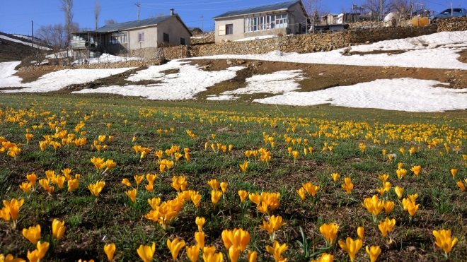 Konya’da bazı vatandaşlar sokağa çıkma kısıtlamasına yayladaki evlerinde uyuyor