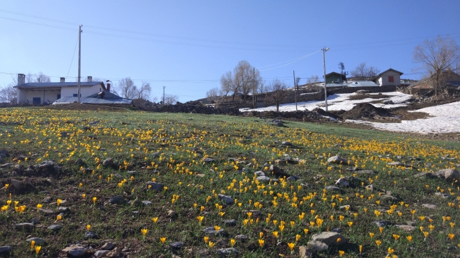 Konya’da bazı vatandaşlar sokağa çıkma kısıtlamasına yayladaki evlerinde uyuyor