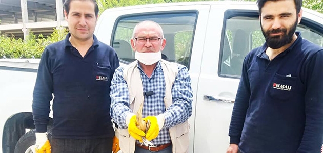 Konya’da yaralı balaban kuşu koruma altına alındı