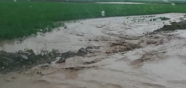 Konya’da ekili tarım arazileri sular altında kaldı
