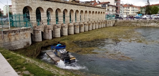 Beyşehir'de göl kıyısı ve Taş Köprü'de saz temizliği