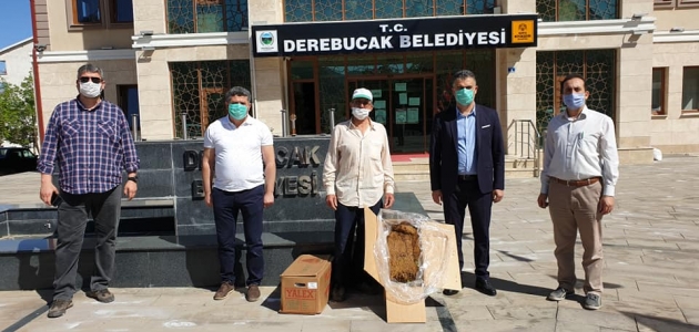 Konya Büyükşehir Belediyesi’nden Derebucak’a çilek fidesi desteği