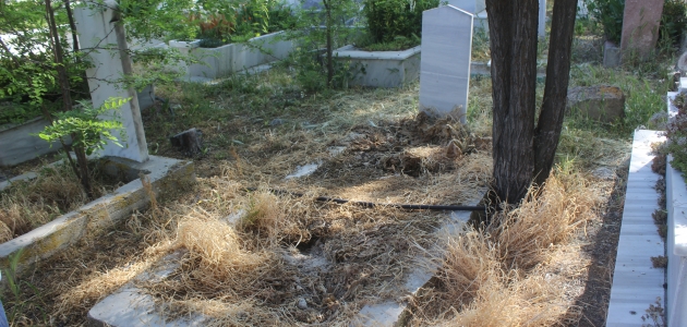 Karapınar’da mezarlıktan ağaç hırsızlığı