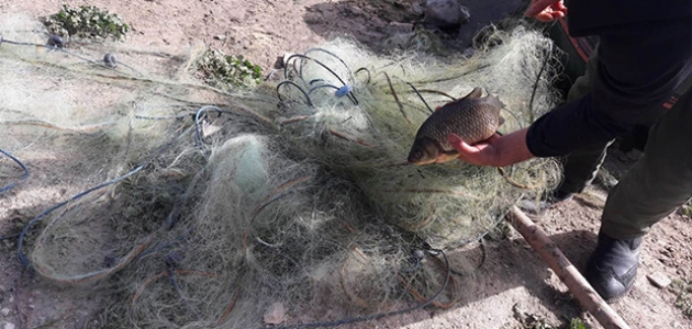Konya’da baraj gölünde ağ gözlerine takılan canlı balıklar kurtarıldı