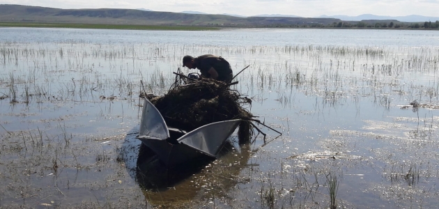 Kaçak avlanmak için göle serilen balıkçı ağlarına su kuşları da takılıyor