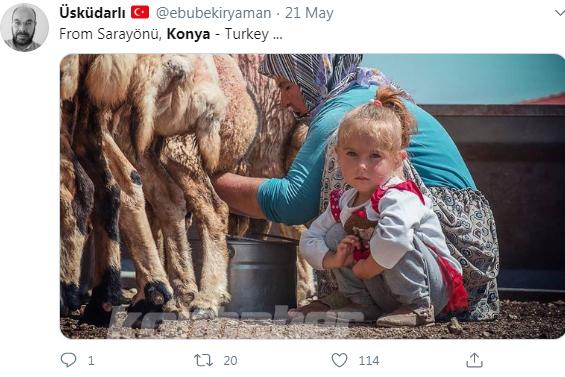 Konya ile ilgili atılmış en güzel tweetler